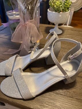 Silver Women's Ankle-Strap Block Heel Sandals